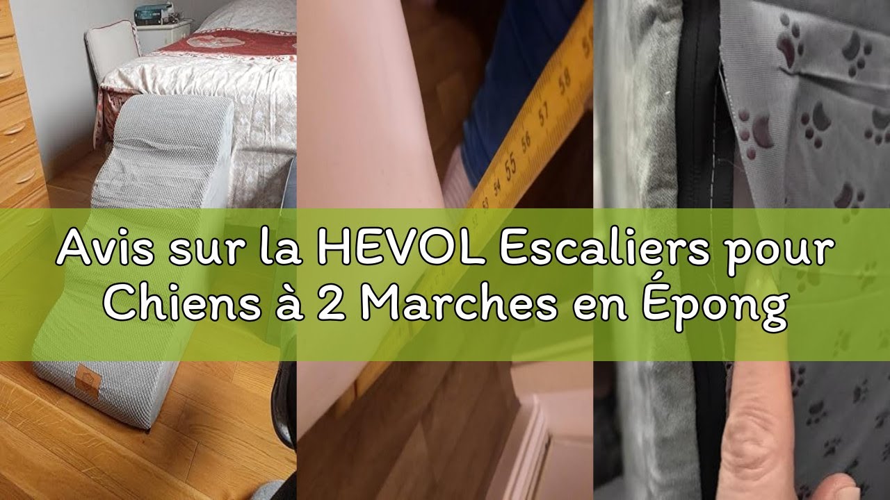 Avis sur la HEVOL Escaliers pour Chiens à 2 Marches en Éponge Haute Densité, Échelle Large pour Anim