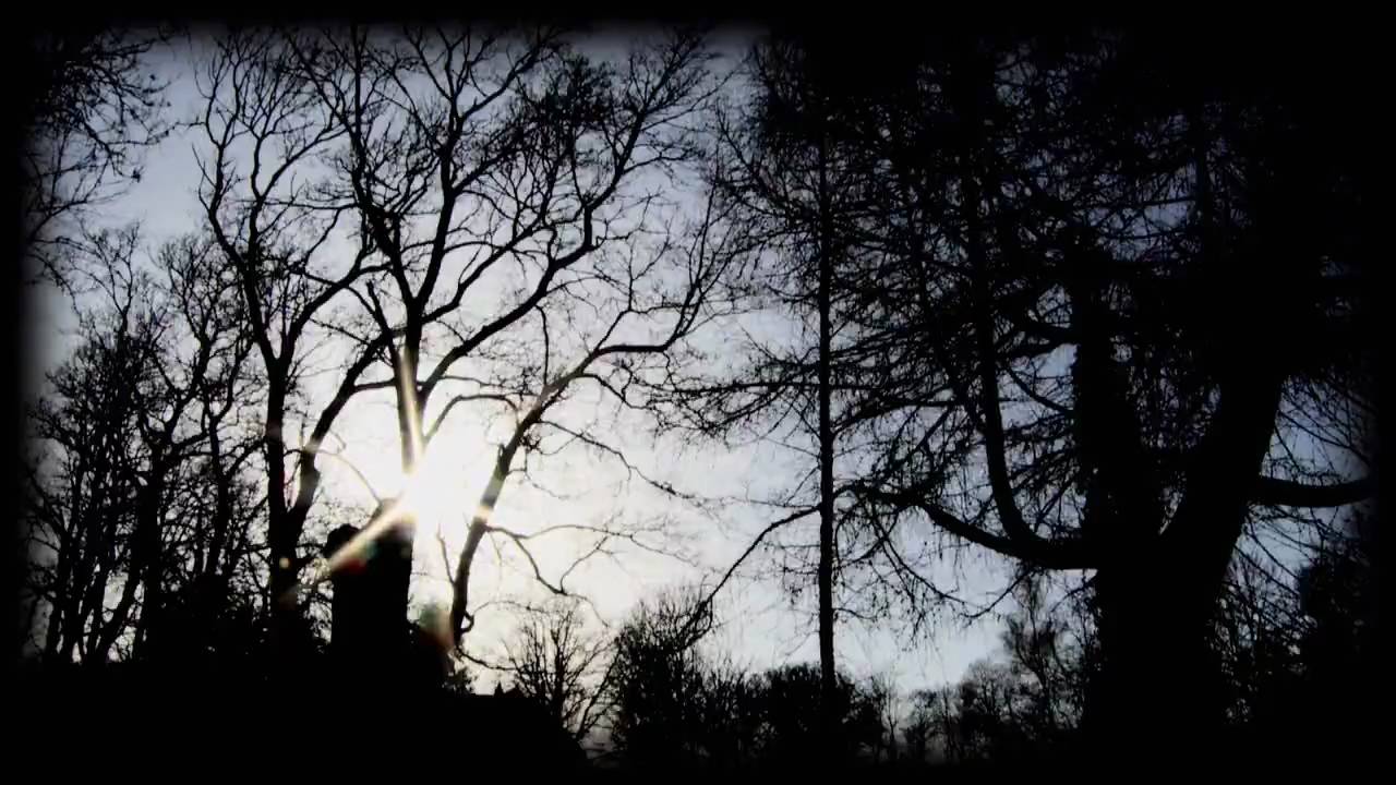 Amberian Dawn - He Sleeps In A Grove