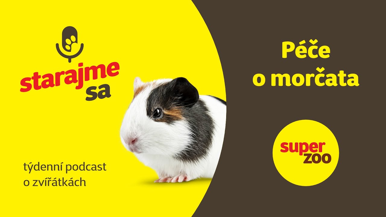 Péče o morčata | Podcast Super zoo