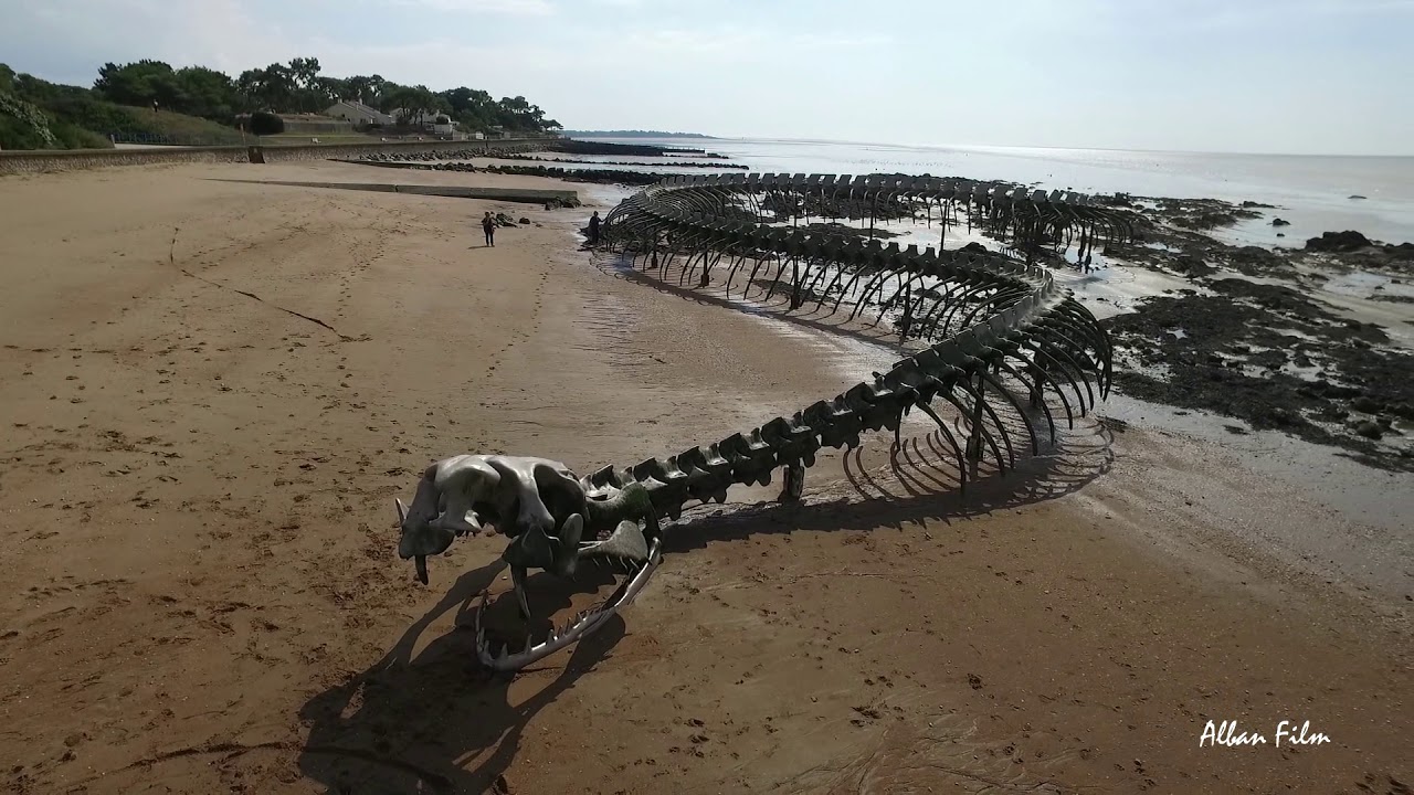 Le serpent d'océan de Mindin à Saint Brevin les Pins