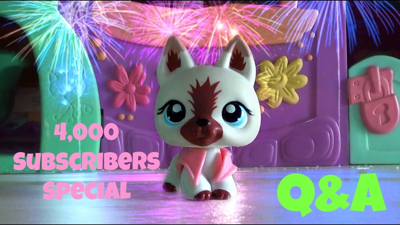 Littlest Pet Shop 4,000 Subscribers Special ~ Questions & Answers