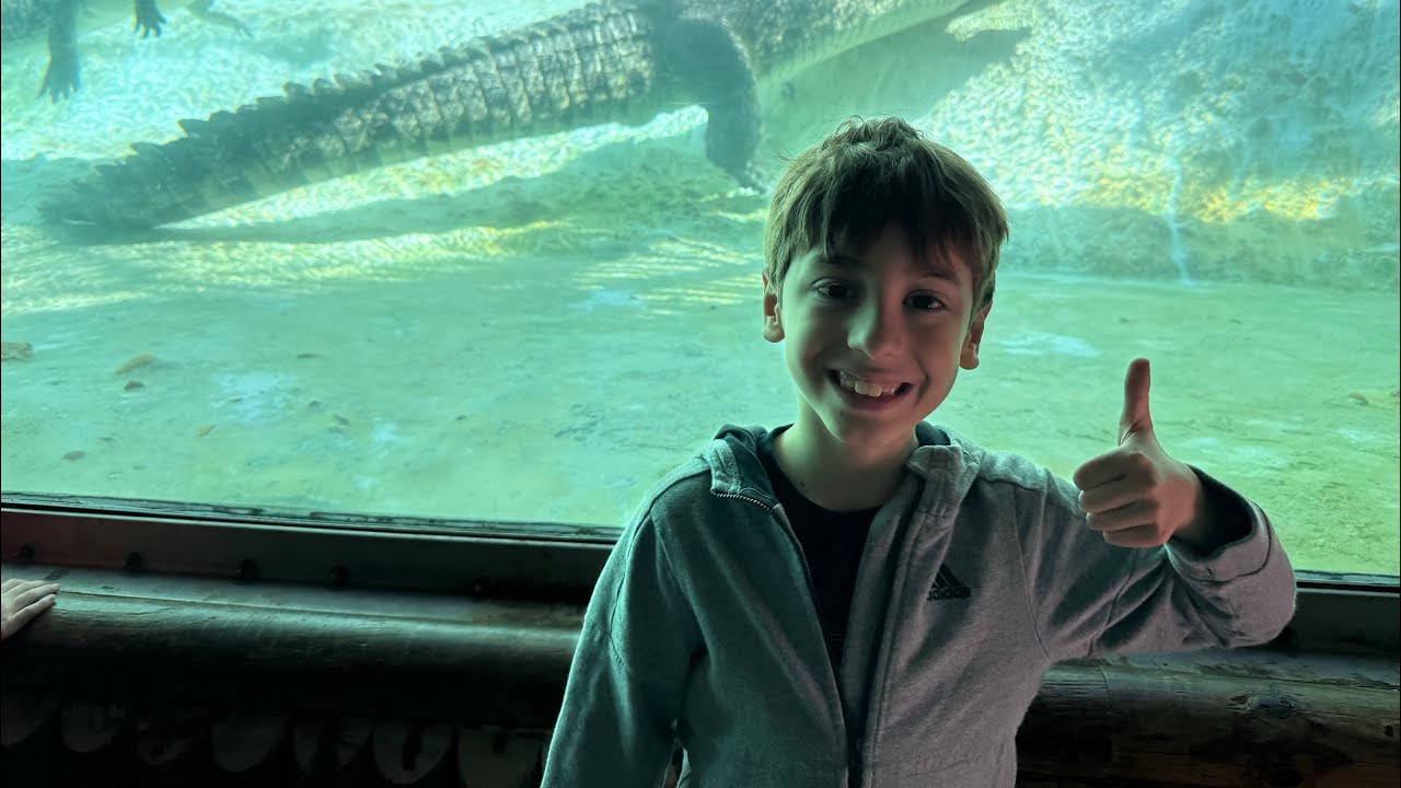 Going to the alligator zoo #alligator #zoo 