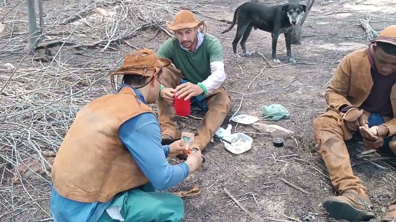 Vaqueiros se alimentando após campearem o gado na serra.