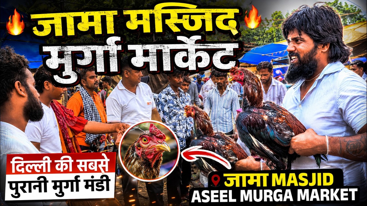 Jama Masjid Aseel Murga Market: A Complete Tour 🔥 | 21 Sep 25