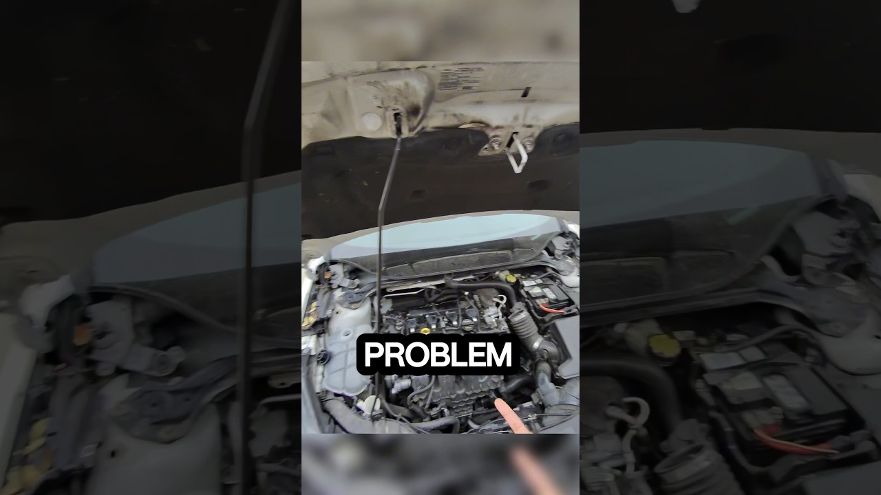 Ford Focus Smoking Program #shorts #fordfocus #engine