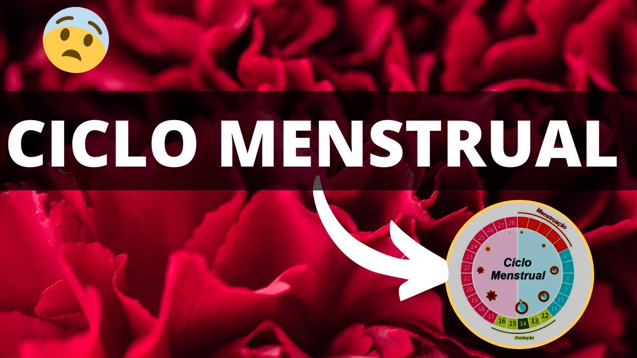 AULA 05 - CICLO MENSTRUAL (FISIOLOGIA DO SISTEMA ENDÓCRINO)