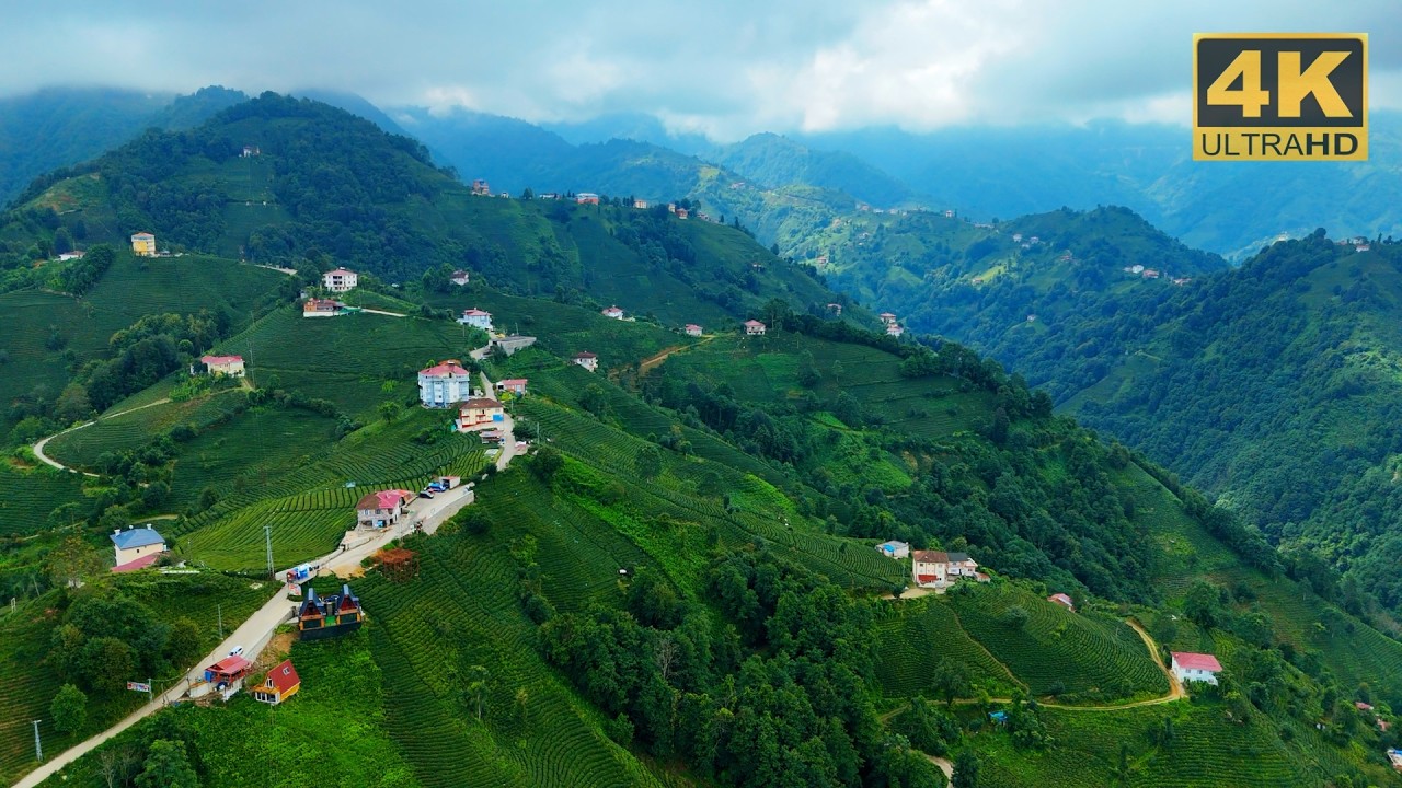 Explore the Nature of Türkiye: Çayeli, Rize. 🇹🇷 4K Drone Footage