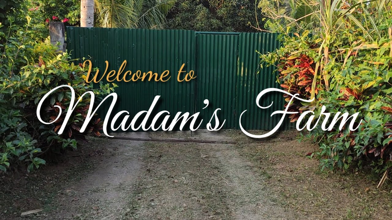 FARM TOUR | MADAM's FARM (The Real Tour!) | Dy Family