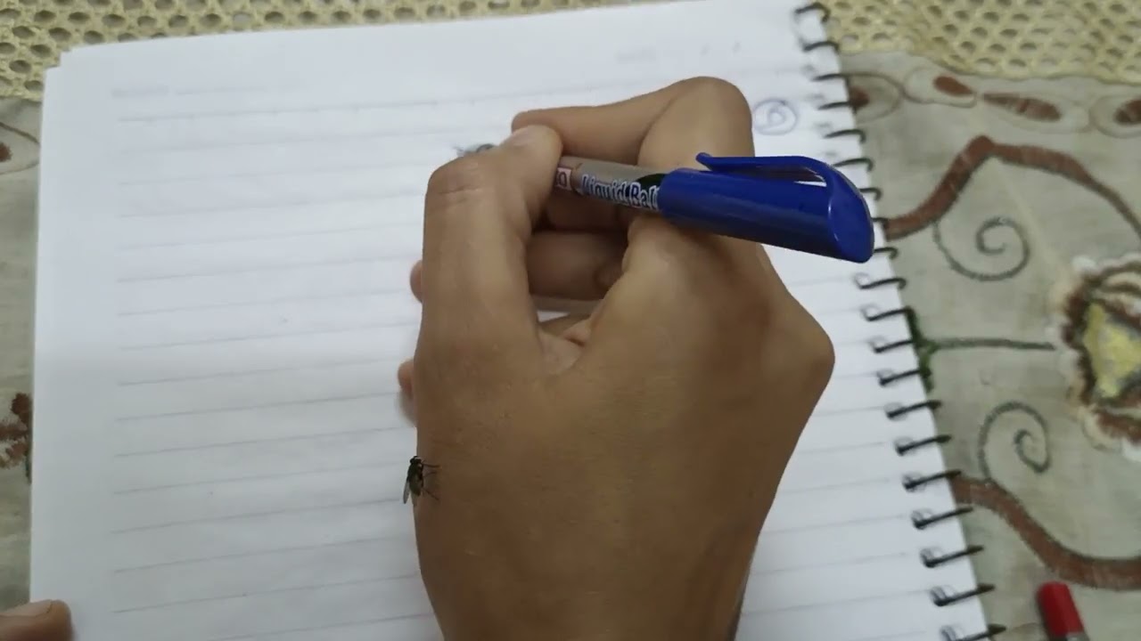 قانون نيوتن الثالث (الجزء الأول) ديناميكا الصف الثالث ترم ثاني