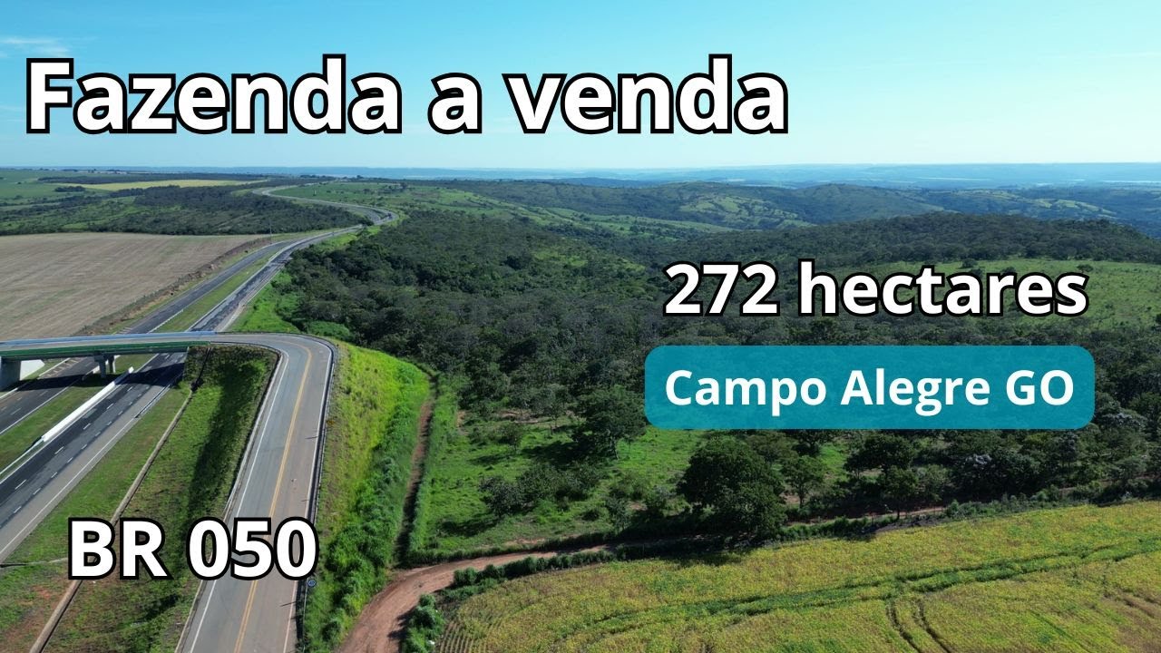 Ótima fazenda para investimento em Campo Alegre de Goiás