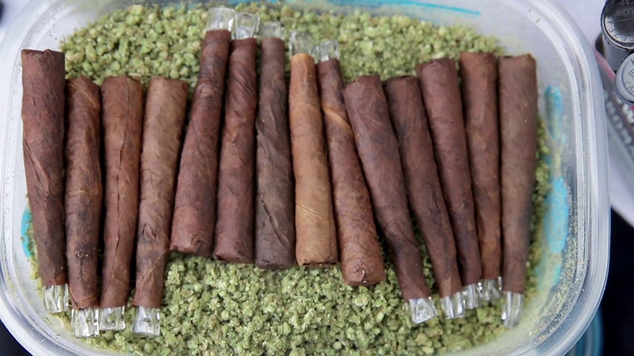 Snoop's Premium Nutrients Rolling Video by ArtLikeUS