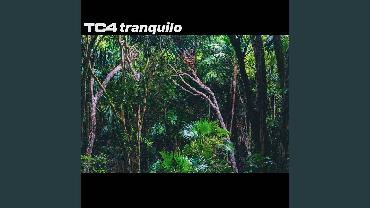 Tranquilo