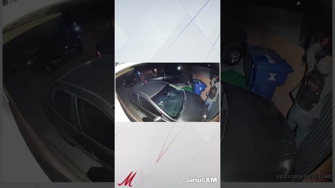 New Footage of Mystery Man In an Alley with Backpacks - is He Involved in Nancy Guthrie Abduction?