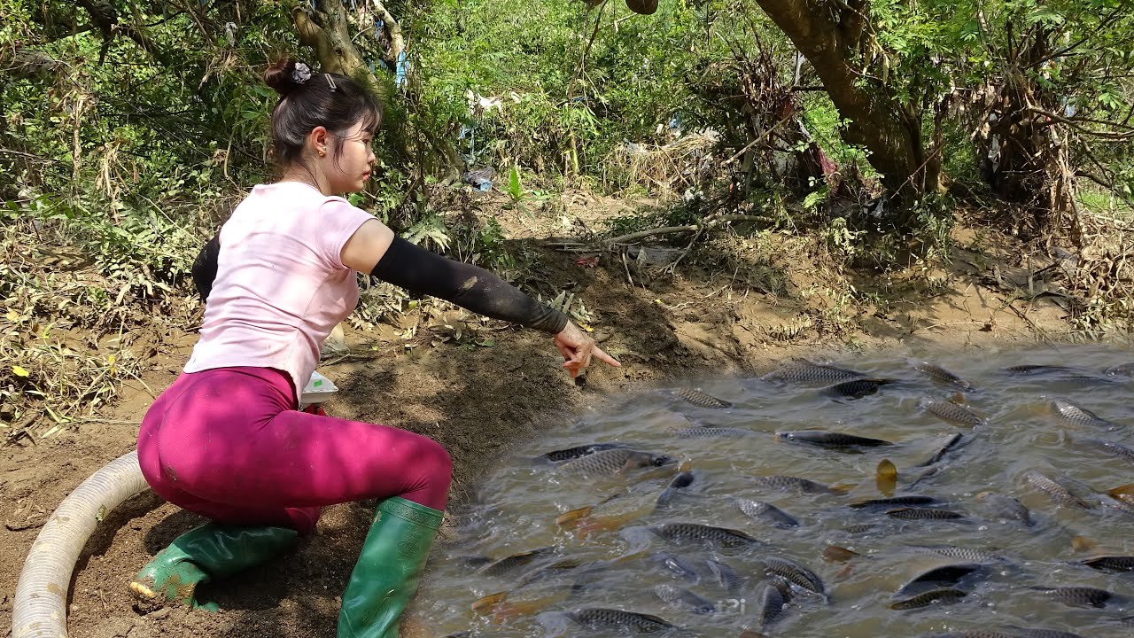 Most Interesting Fishing Techniques Of Girl, Fishing in Wild Lakes Catch A Lot Of Fish