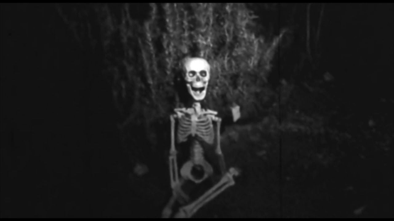 RUSSIAN ROSE - Skeletrees (Official video)