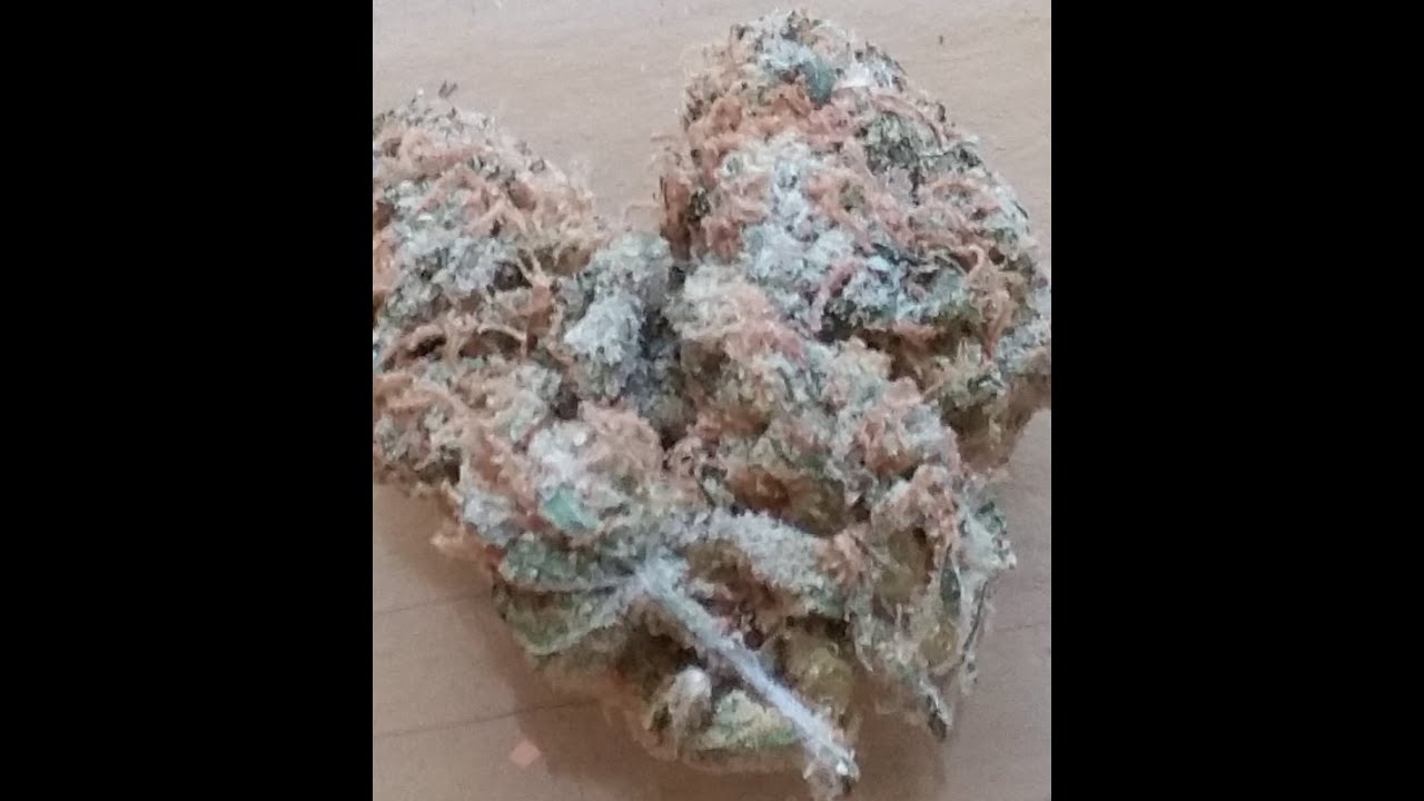 Medijuana by Alternative Solutions Review and Dc Cannabis News and Events