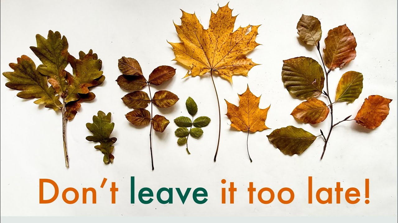 Preserve leaves NOW for months of printing