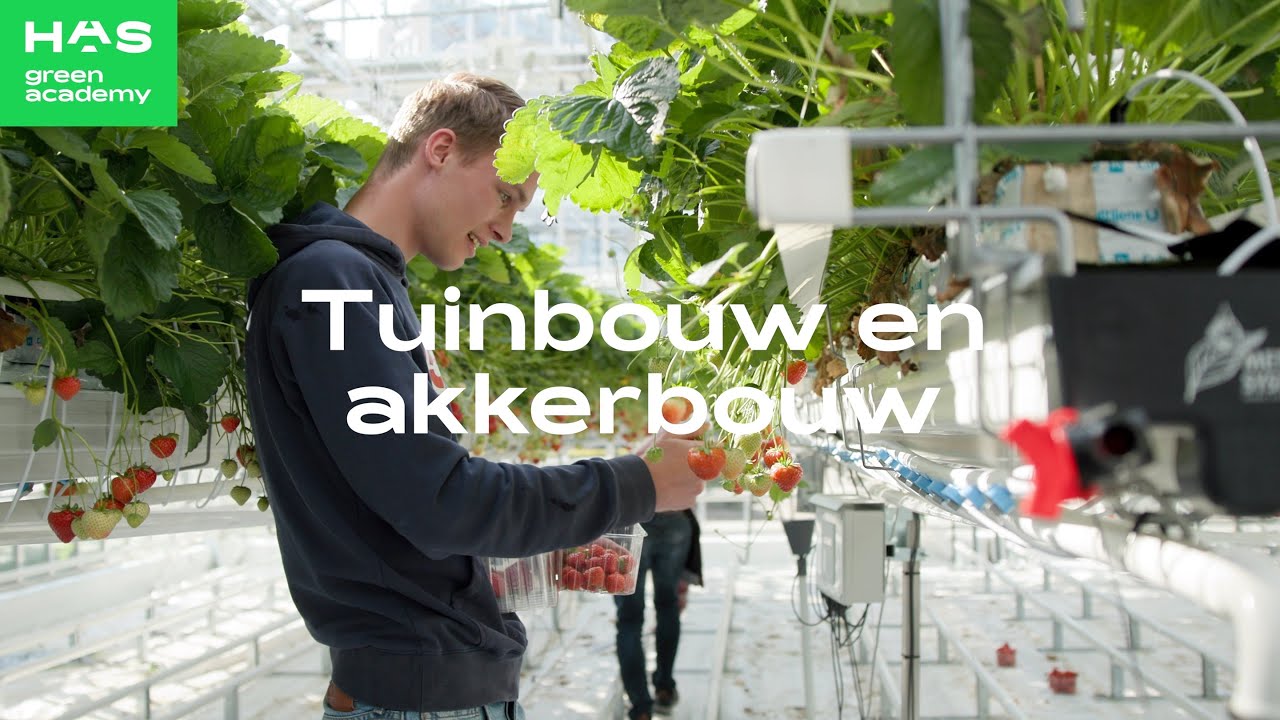 Tuinbouw en akkerbouw - hbo-opleiding HAS green academy