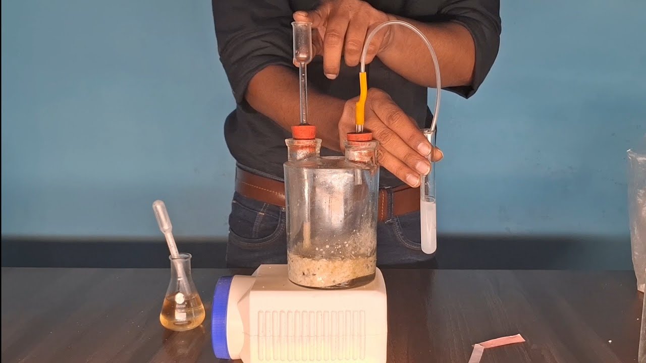 To prepare carbon dioxide gas and study its physical and chemical properties | For class 10th