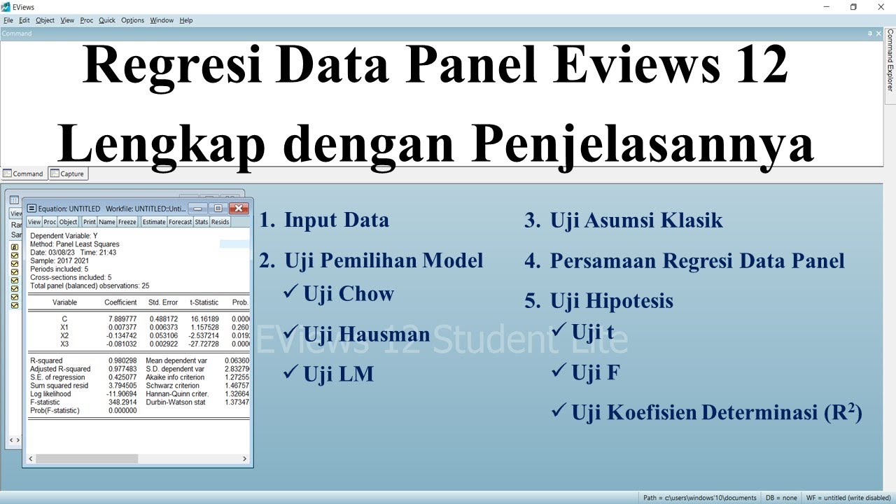 Regresi Data Panel Eviews 12 Lengkap dengan Penjelasannya