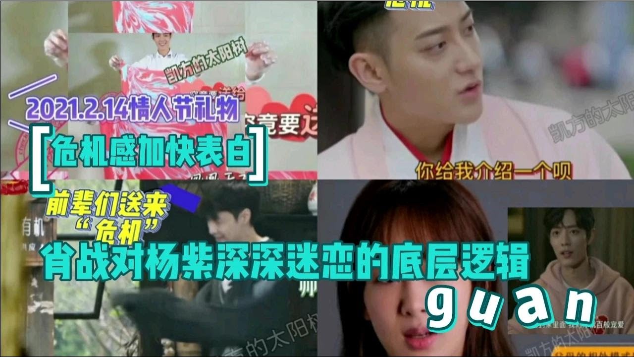 “危机”加快战哥表白紫妹，有深深迷恋的底层逻辑（六）
