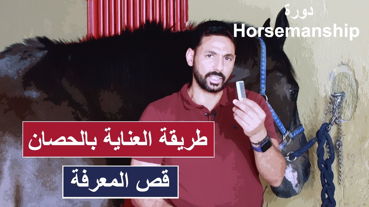 طريقة العناية بالحصان: اكتشف السر وراء جمال شعر ومعرفة الحصان