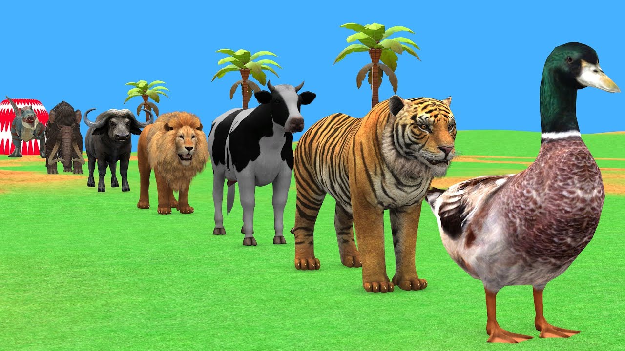 Long Slide Game with Cow Elephant Gorilla Hippopotamus Tiger 3d Animal Game Funny 3d Animals