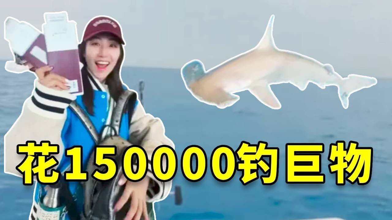 我的发财梦破灭了！血亏150000！迈阿密追猎旗鱼，正主没见到，却把锤头鲨给“骗”上来了… 我人傻了！ #钓鱼 #fishing #大豪夫妇