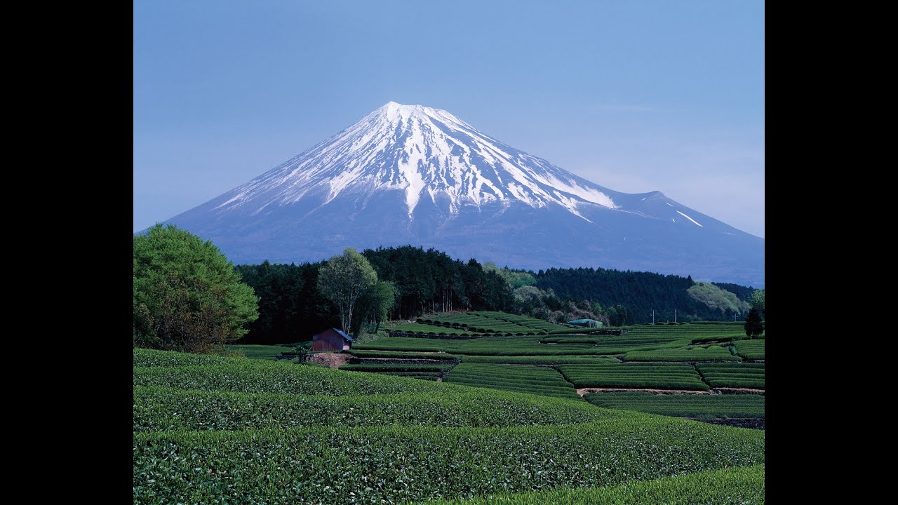 Episode 101: Japanese Wine 101