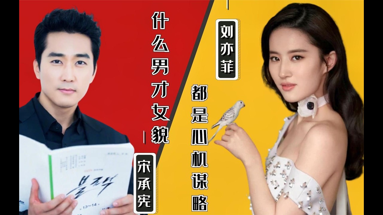 一句'遇见渣男”，直接撕开了刘亦菲与宋承宪的分手真相！ #刘亦菲 #宋承宪 #第三种爱情 #神仙姐姐