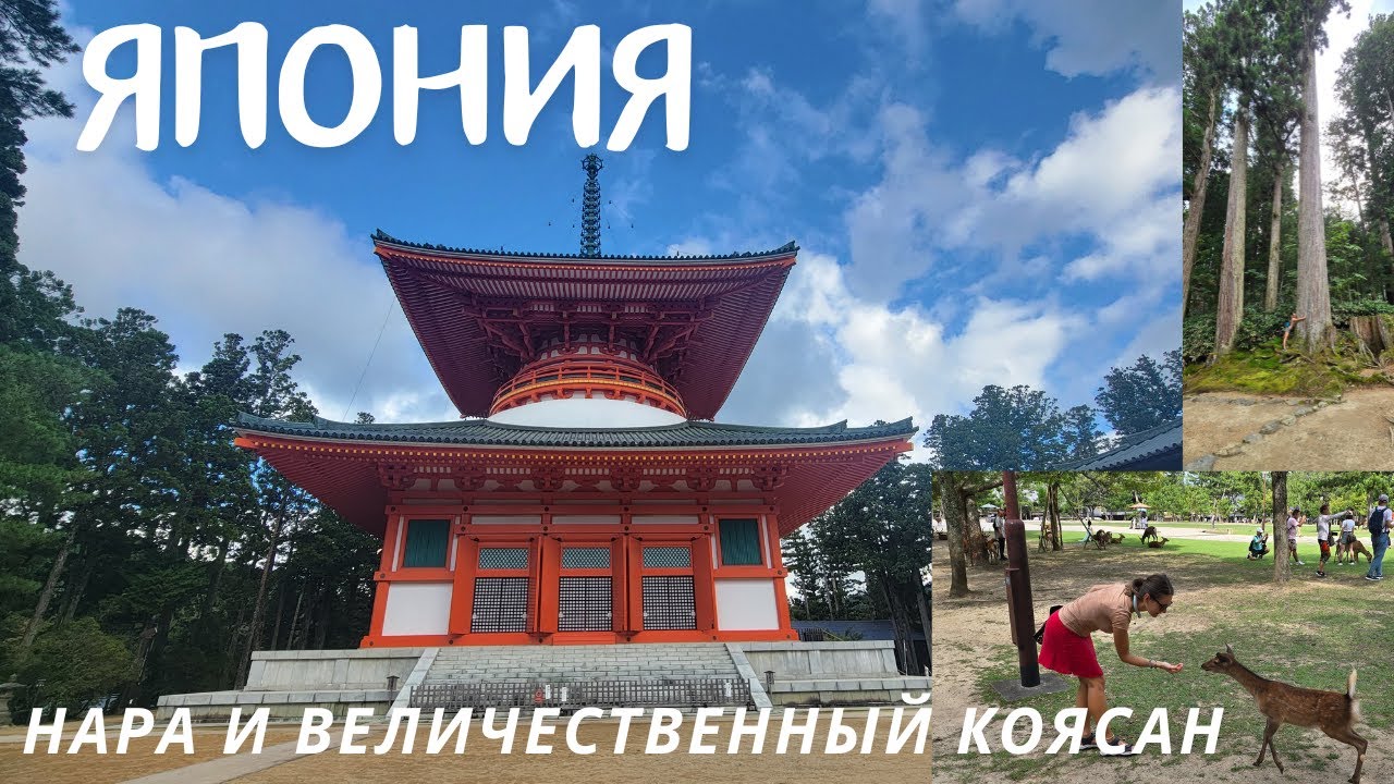Discovering Japan: From Nara to the Sacred Koyasan - От Нары до священного Коясан 🏯✨