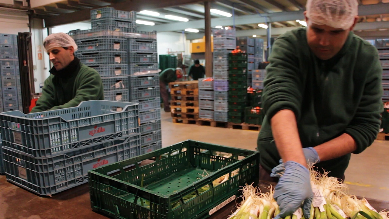 Experiencia Agroilla con Trabajo con apoyo - Amadip Esment Fundació