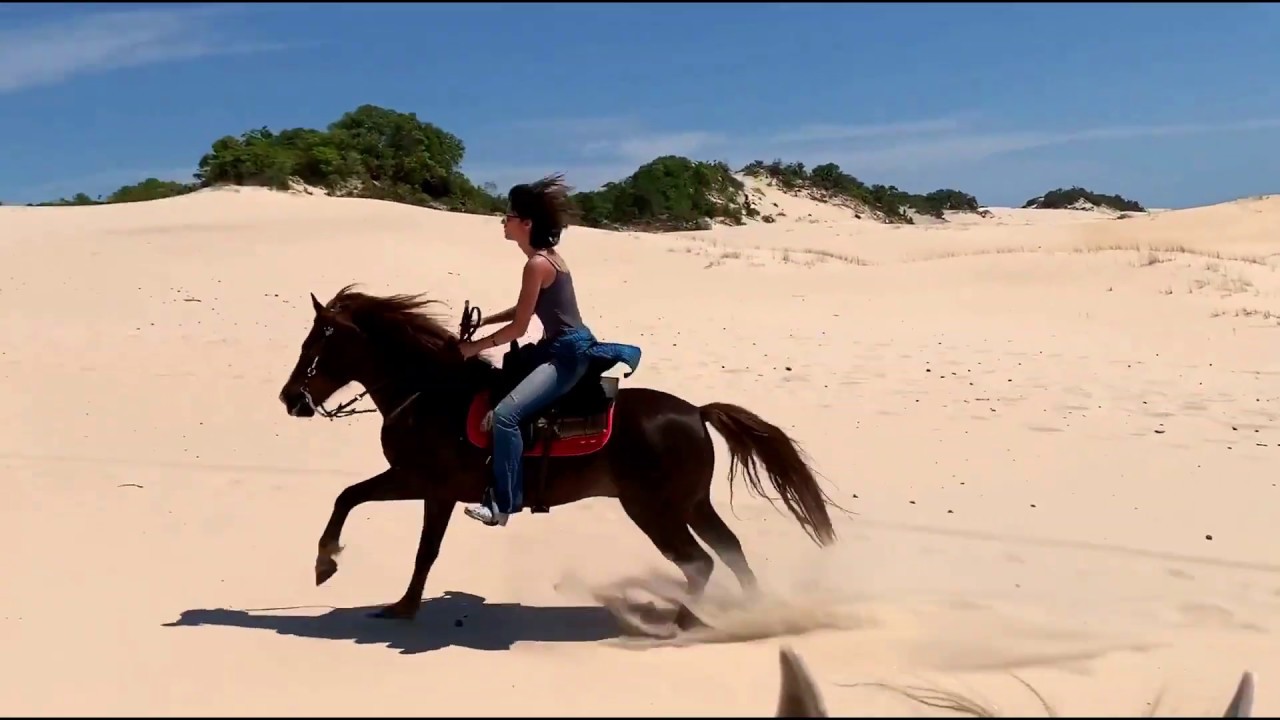 Trilha à cavalo em Florianópolis !!!