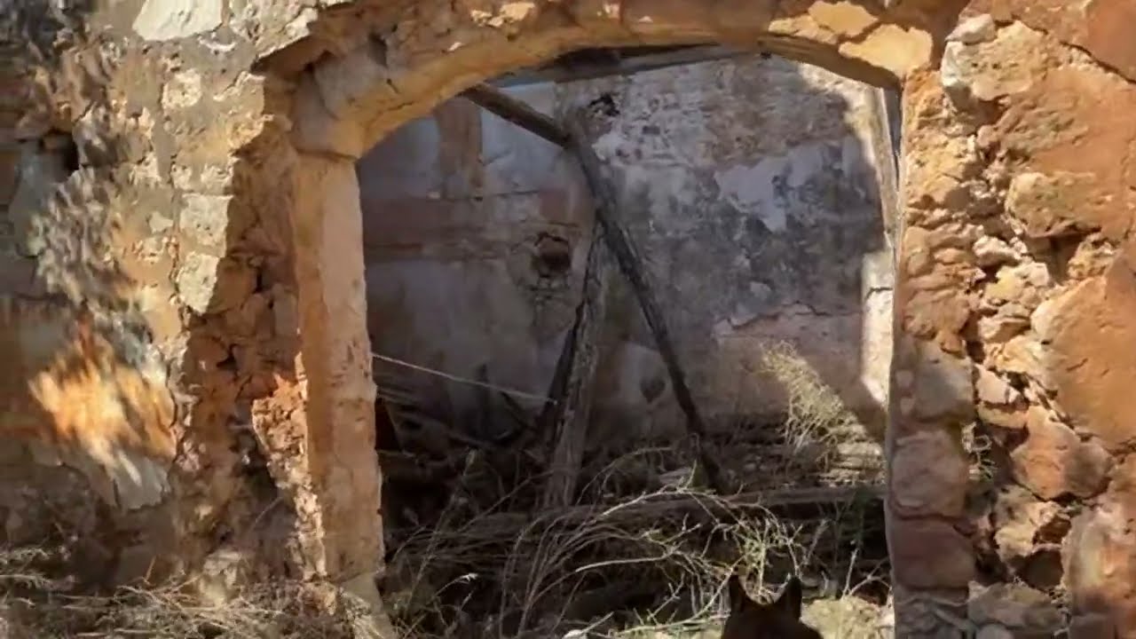 Iglesia en ruinas de Velasco en Soria, prueba de un primer directo con visita real. No salió mal