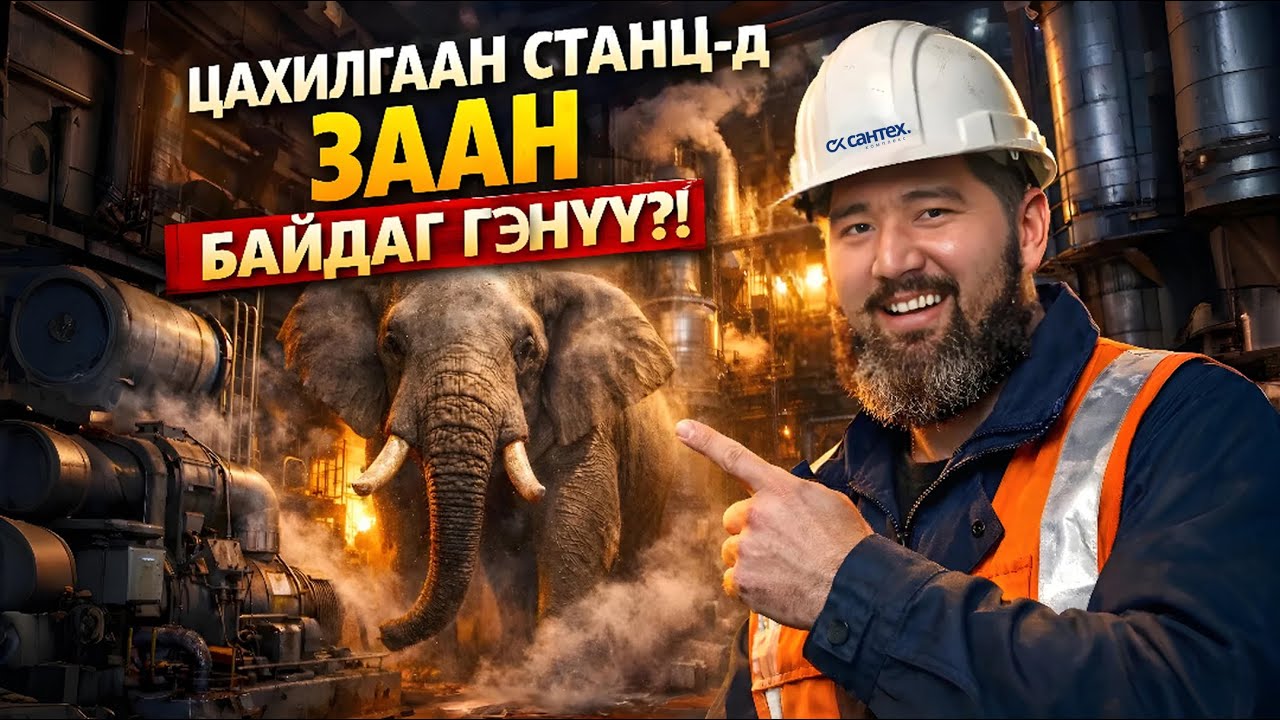 Цахилгаан станц-д ЗААН байдаг гэнүү?!