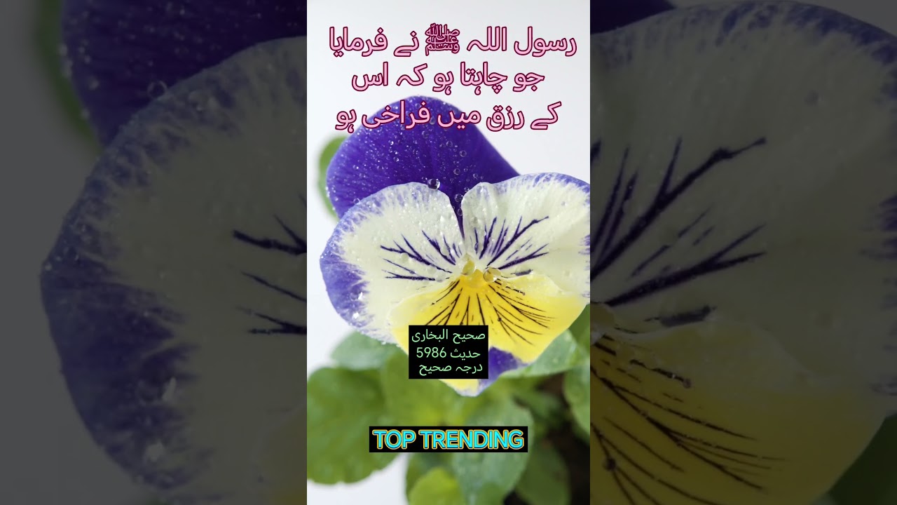 Hadees E Nabvi | 2023 Motivation | Islamic Quotes | Urdu Quote | Hades in Urdu 