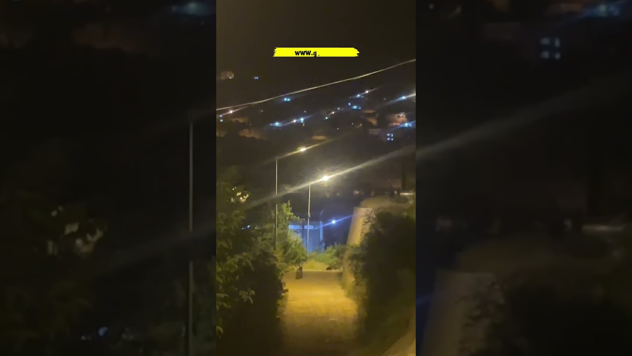 G&uuml;m&uuml;şhane'de ayı şehir merkezine indi