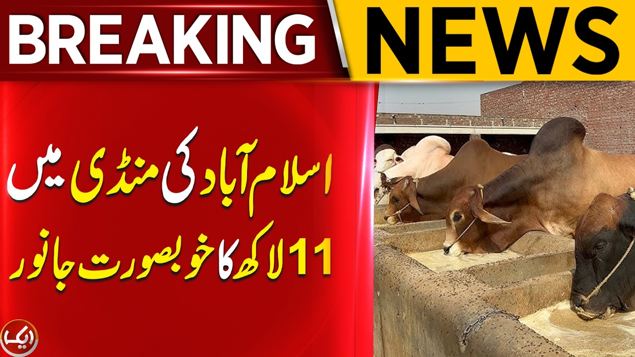 Breaking News | Islamabad Cattle Market Opens For Eidul Azha | Aik News