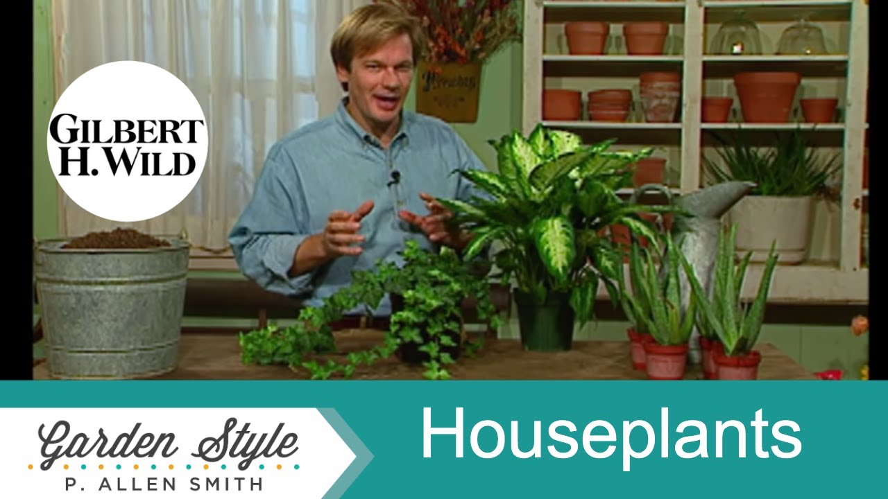 Practical Houseplants and How to Care for Them | Garden Style (401)