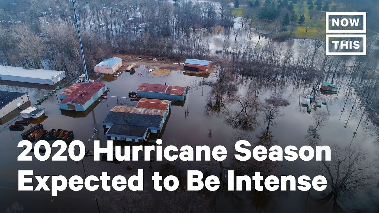 Hurricane Season Predictions for 2020 | NowThis