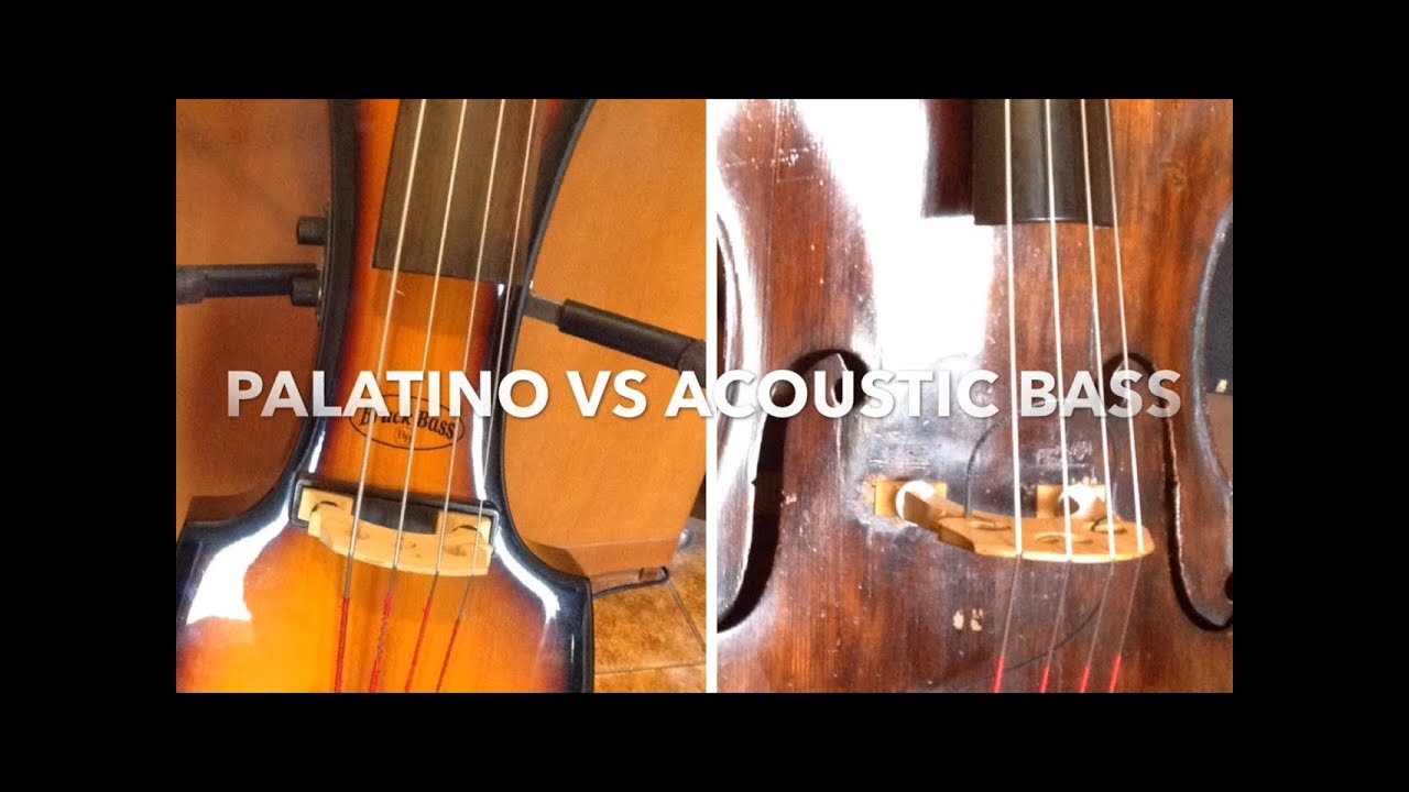 Palatino vs Acoustic Double Bass line out sound check