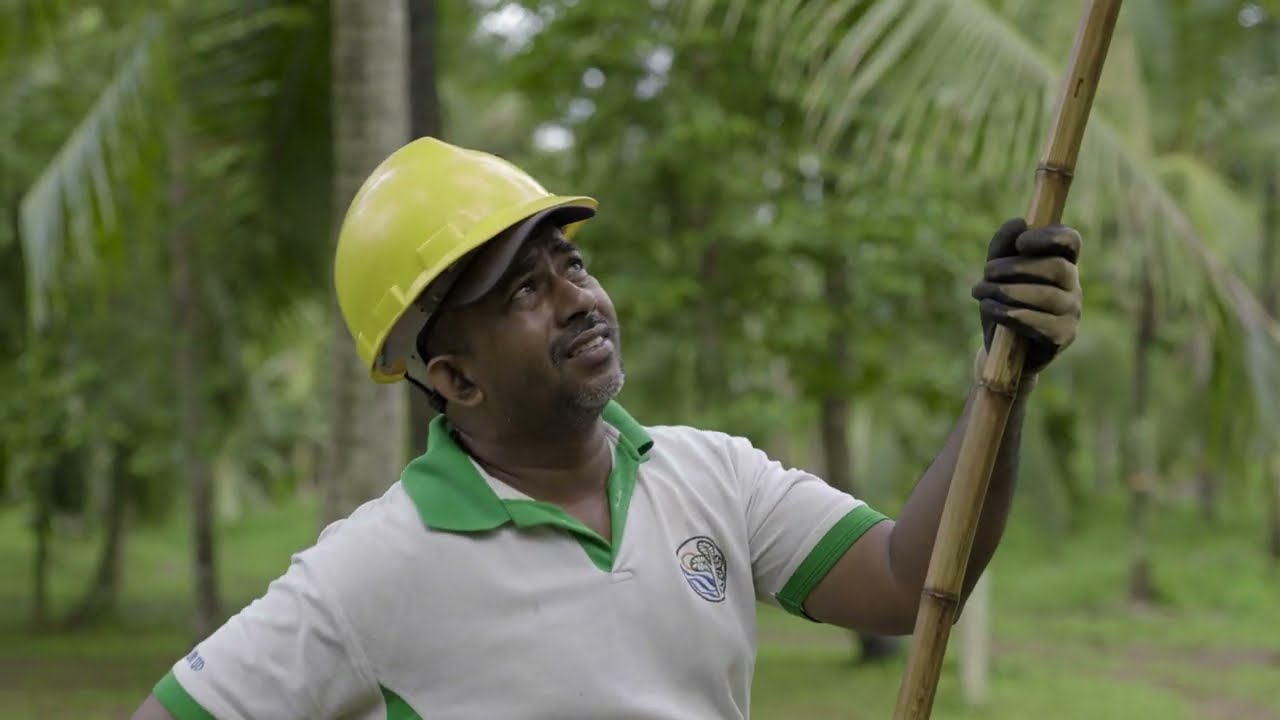 Sri Lanka, an organic haven for coconut products