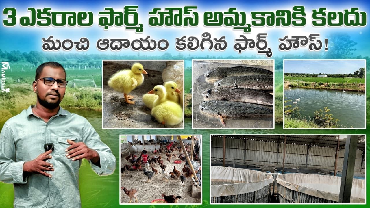 ఫార్మ్ హోజ్ అన్ని సదుపాయాలతో అమ్మకానికి కలదు  || FARM HOSE FOR SALE || 7200 || FARMHOUSE ||