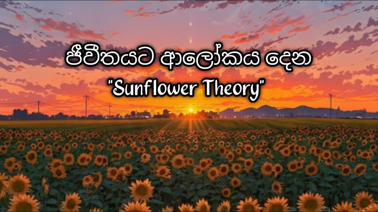ජීවිතයට ආලෝකයක් වන 🌻 Sunflower Theory