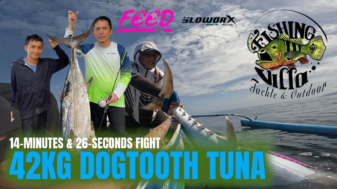 42KG DOGTOOTH TUNA | 15kg Assorted Fish | May 03, 2022 | FEED SloworX