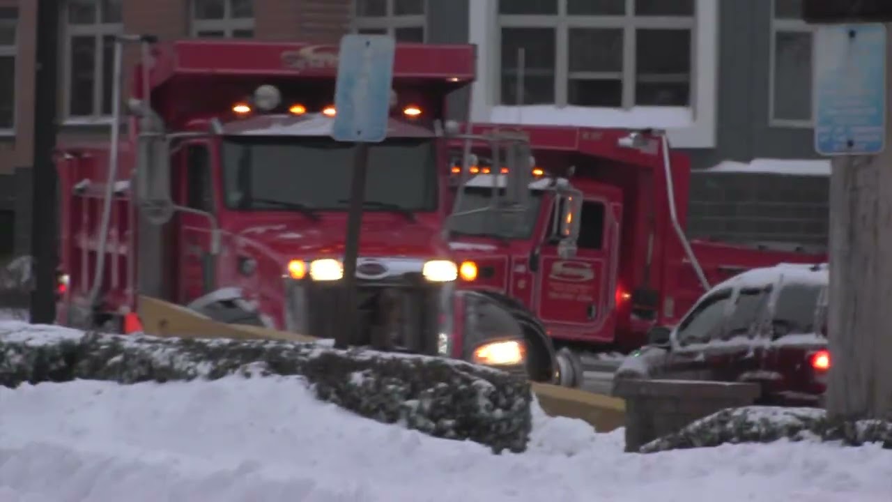 Around the Garden with Jimmy K: Winter Clean up 2026