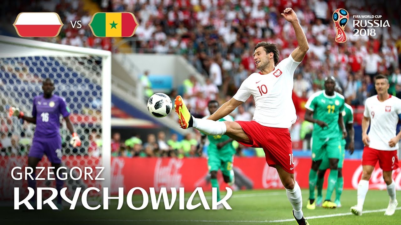Grzegorz KRYCHOWIAK Goal  - Poland v Senegal - MATCH 15