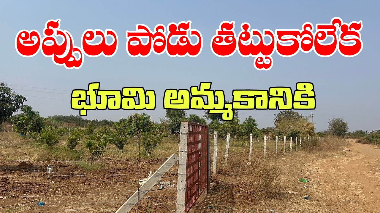 ⚡ Macherla 18KM లో 4 Acres Farm | Best Investment Property 🌿 4 ఎకరాల ఫామ్ అమ్మబడును Low Budget Farm