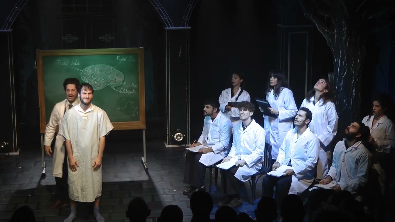 The brain - young frankenstein