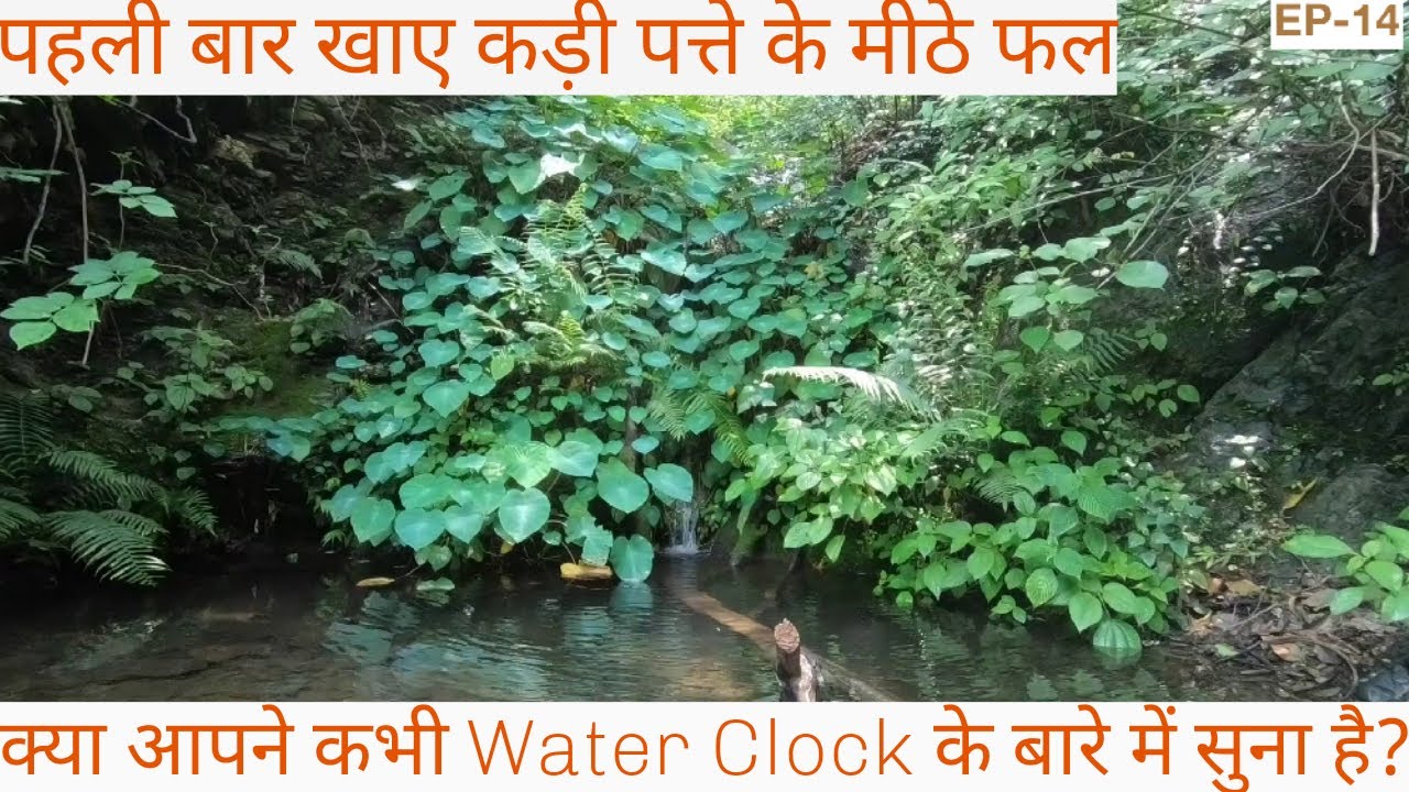 Have you ever heard of Water Clock used in the ancient times?Entering the wild dense forest. Part 14